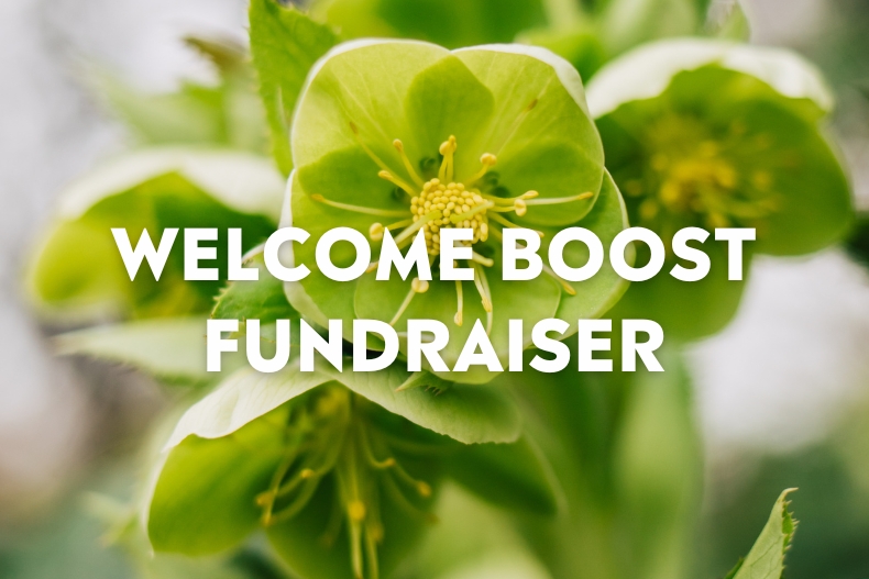 A close-up photo of green hellebore flowers in bloom, with the text “WELCOME BOOST FUNDRAISER” centered in white bold letters.
